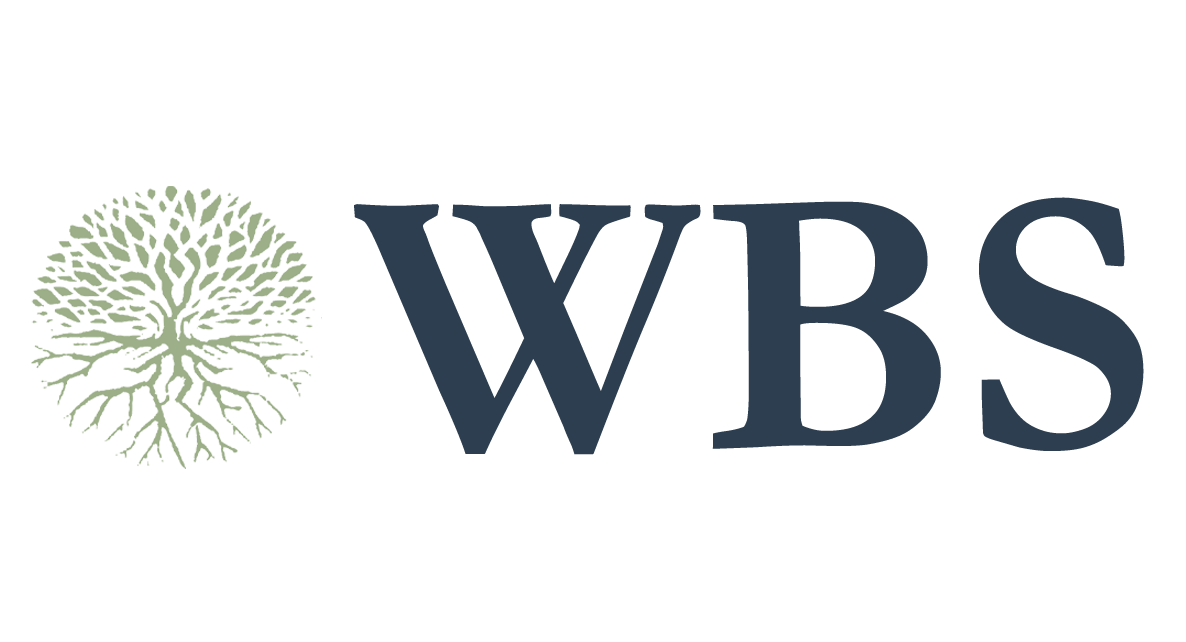Wise Business Solutions